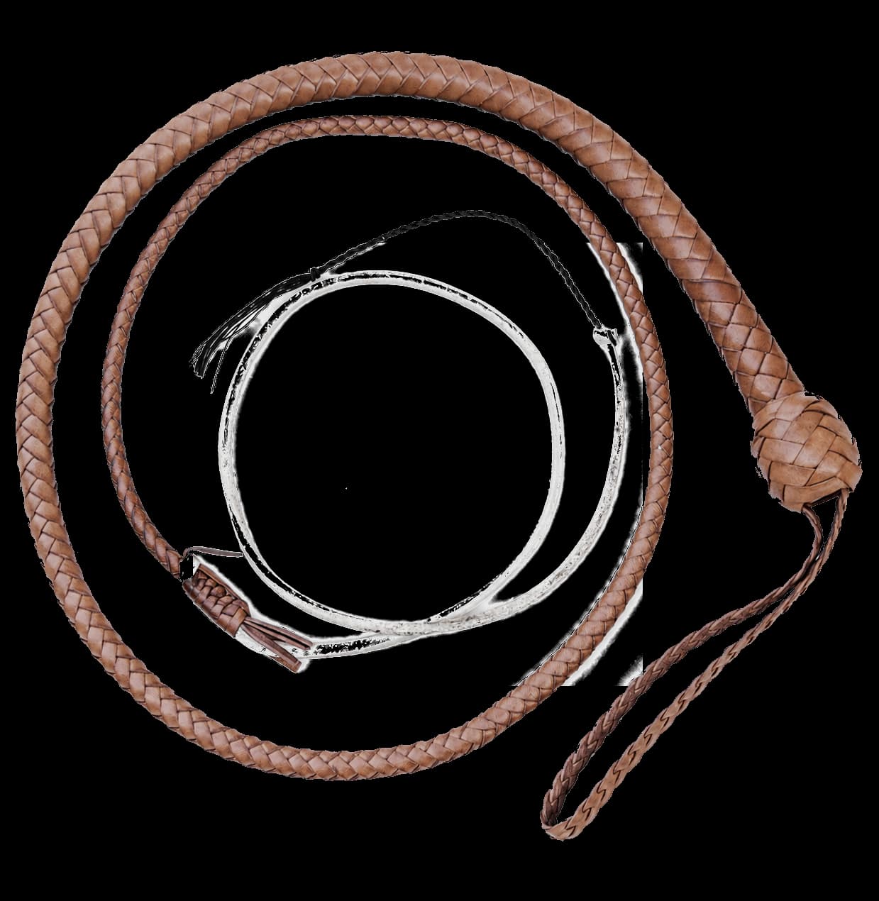 Snake whip photographié avec son thong, son fall et son cracker
